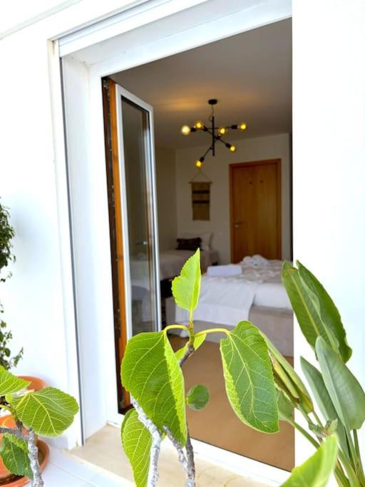 Nazare Boutique W Sea View And Private Rooftop Terace エクステリア 写真